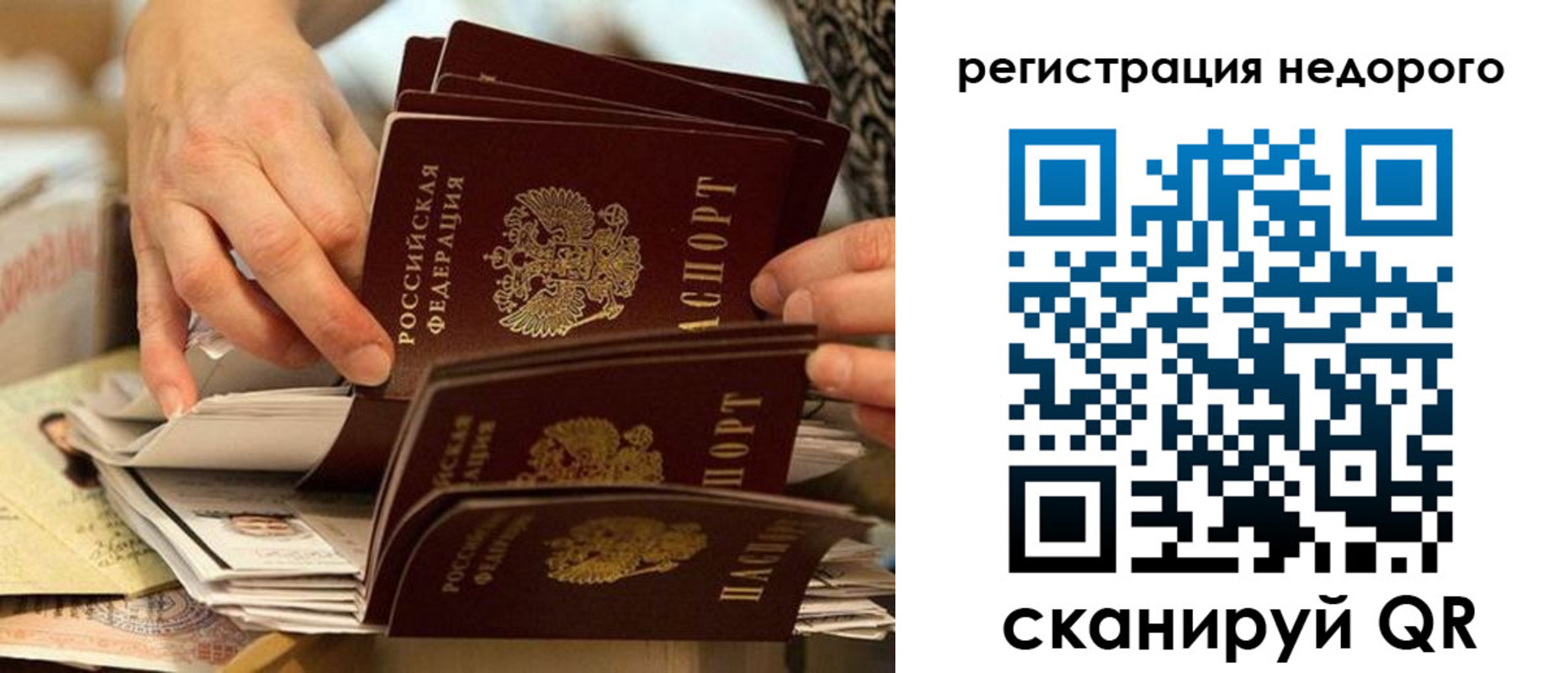 прописка в квартире в Новозыбкове